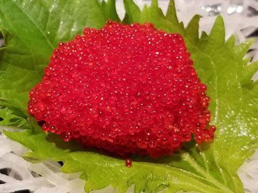 Flying Fish Roe (Tobiko) Sashimi