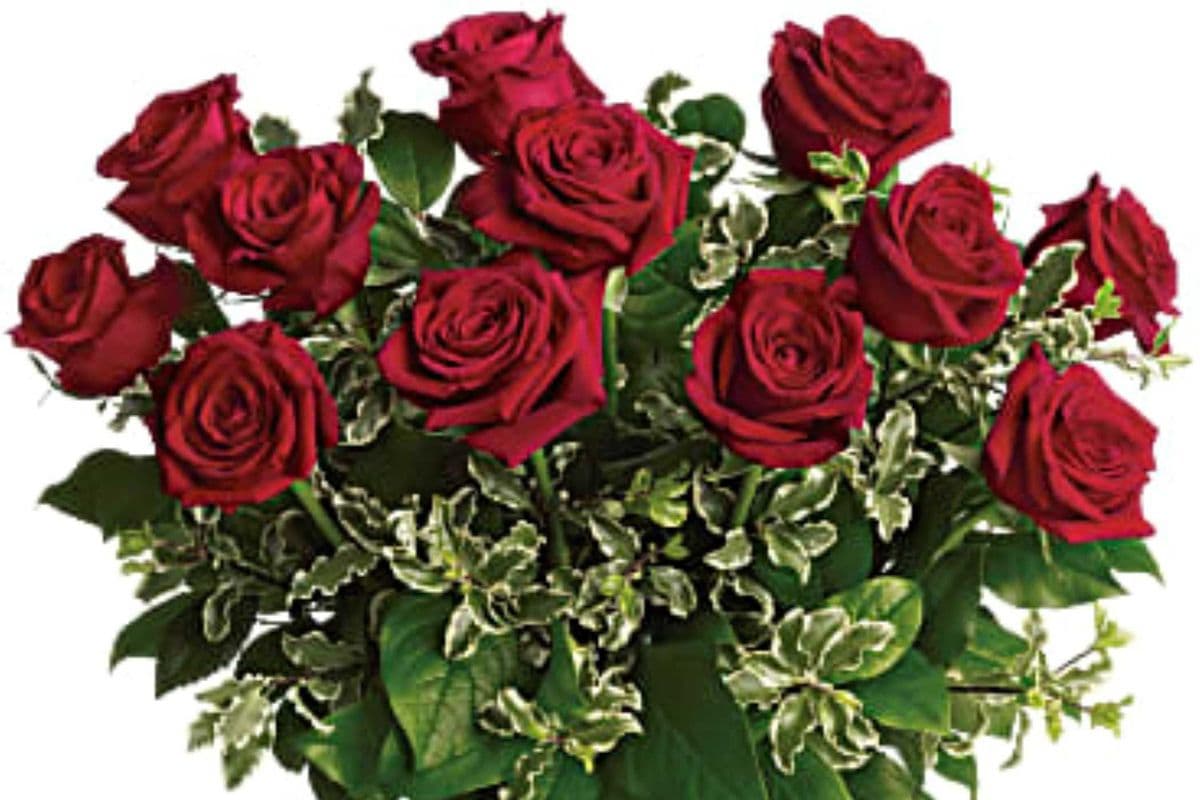 Always On My Mind - Long Stem Roses in vase