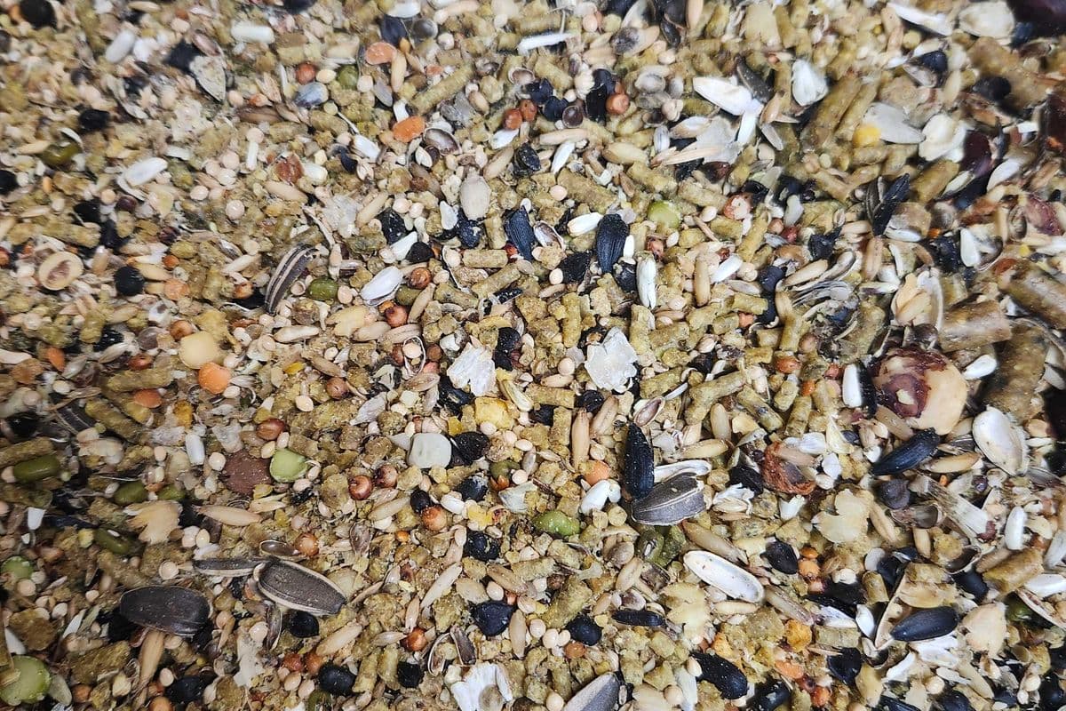 Scrappy Wild Bird Mix (10 lb)