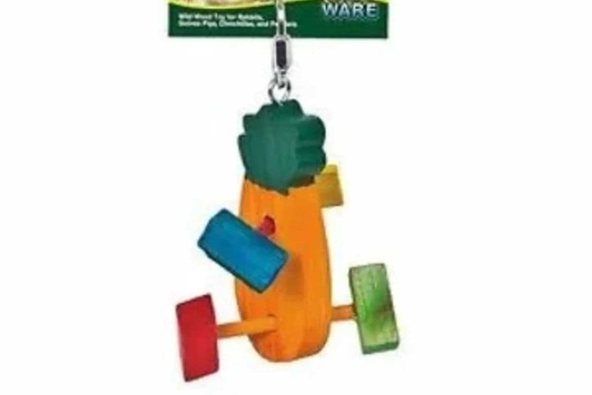 Critter Ware Krazy Karrot Toy (6 inches)