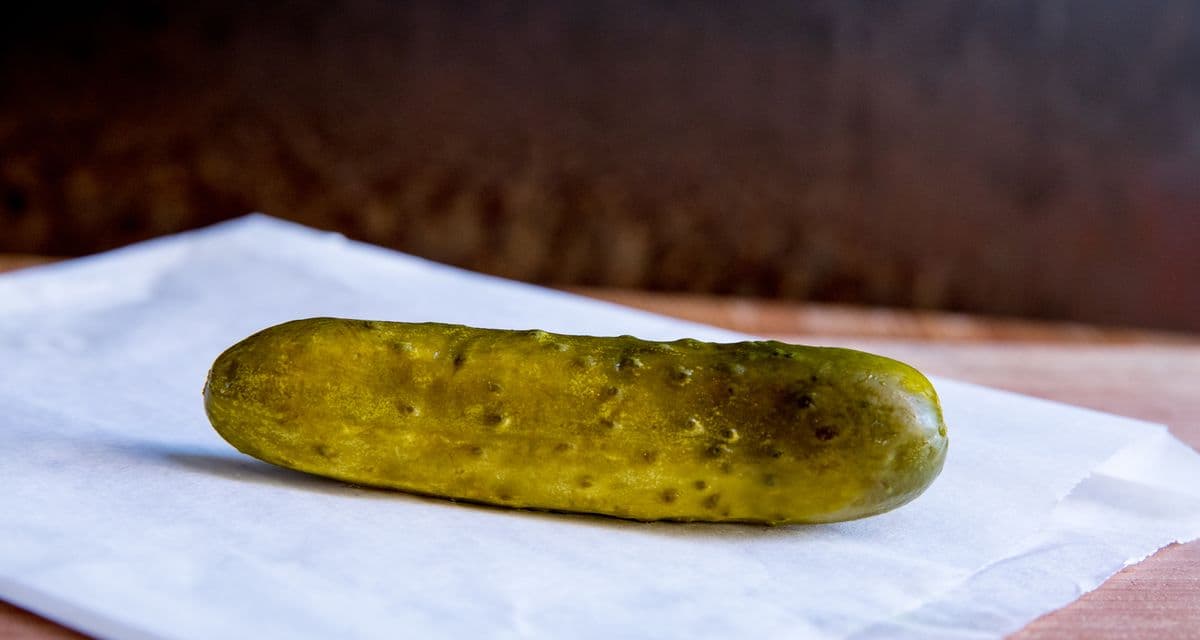 Kaylin and Hobbs Spicy Dill Pickle