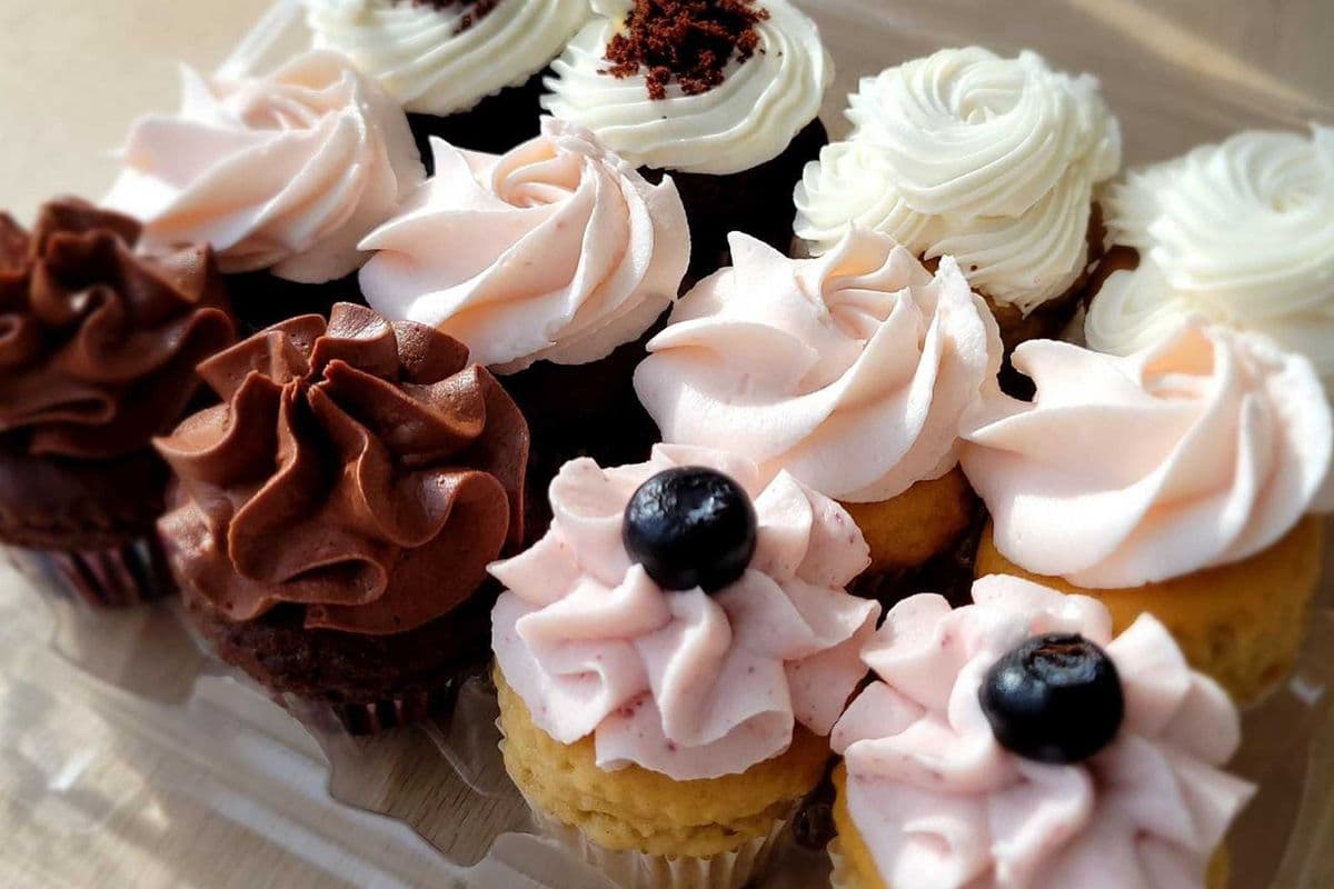 12 Mini Cupcakes