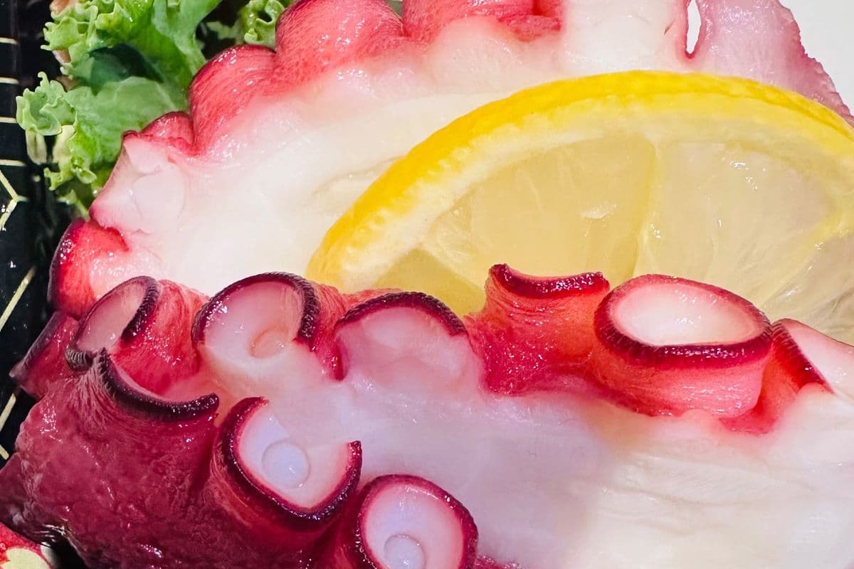 D8.Tako Sashimi