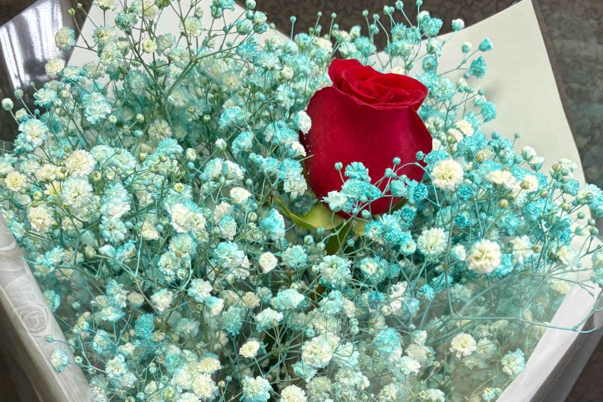 Pick Me up Bouquet