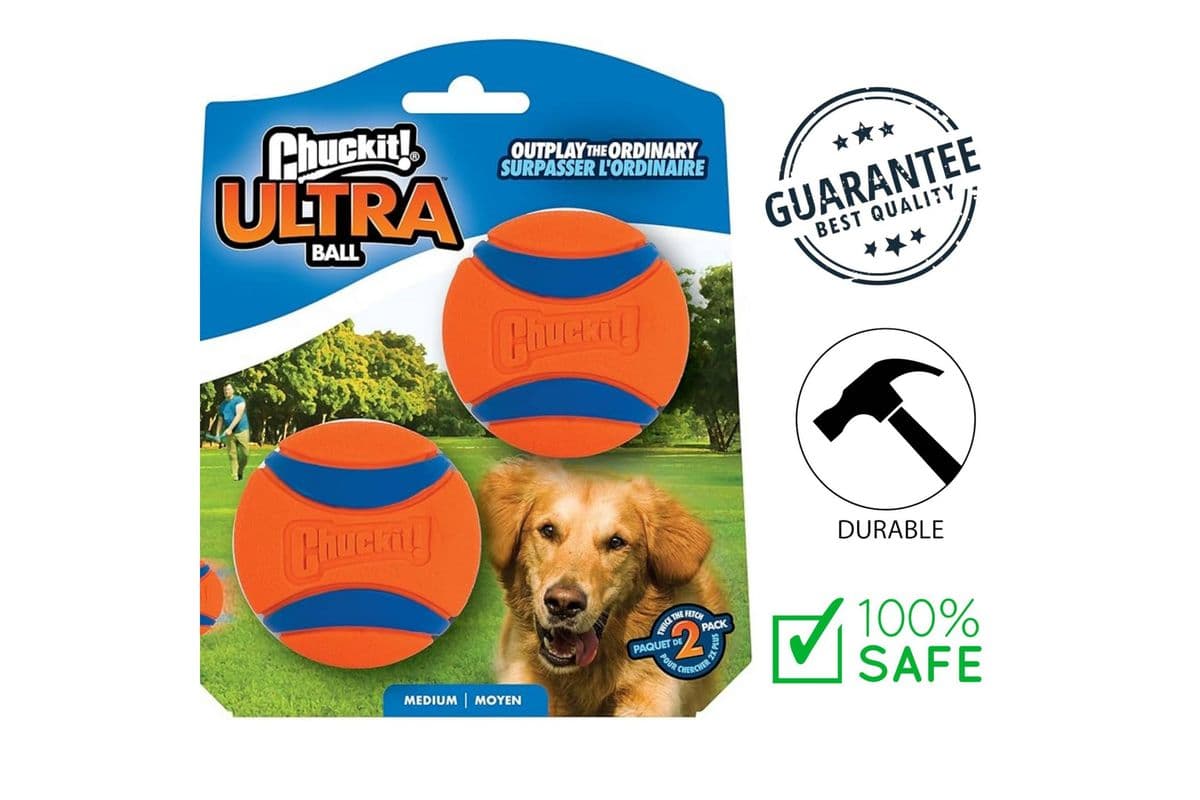 Chuckit! - Ultra Ball Medium Dog Toy