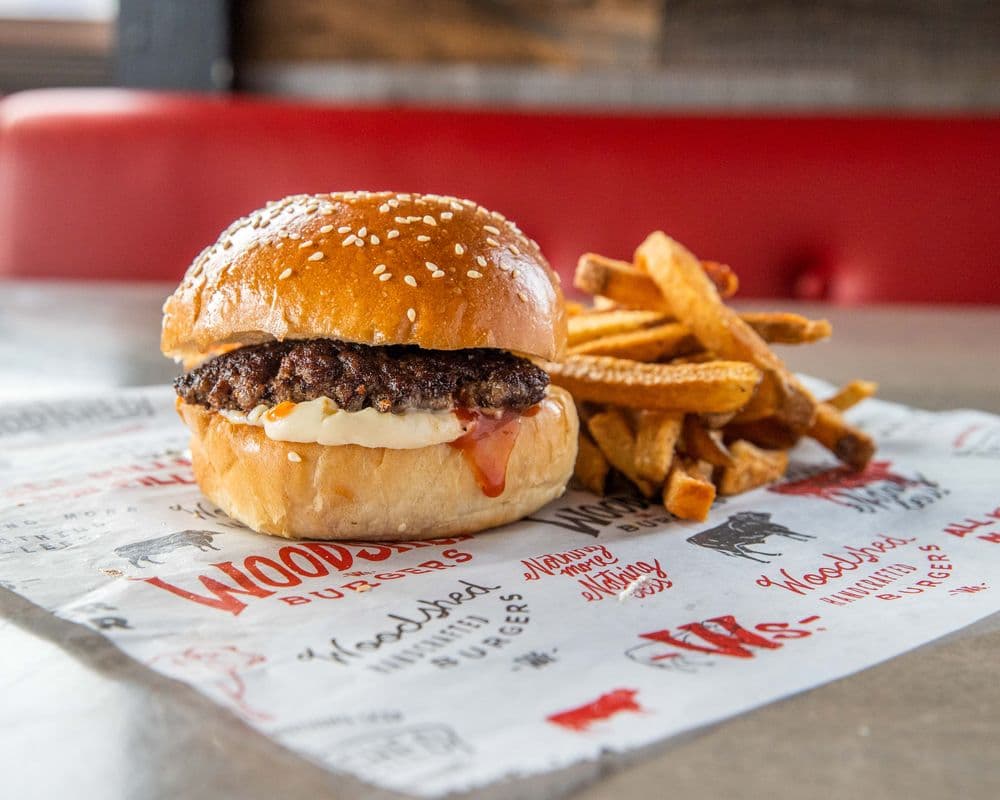 Kids Burger with Ketchup and Mayo