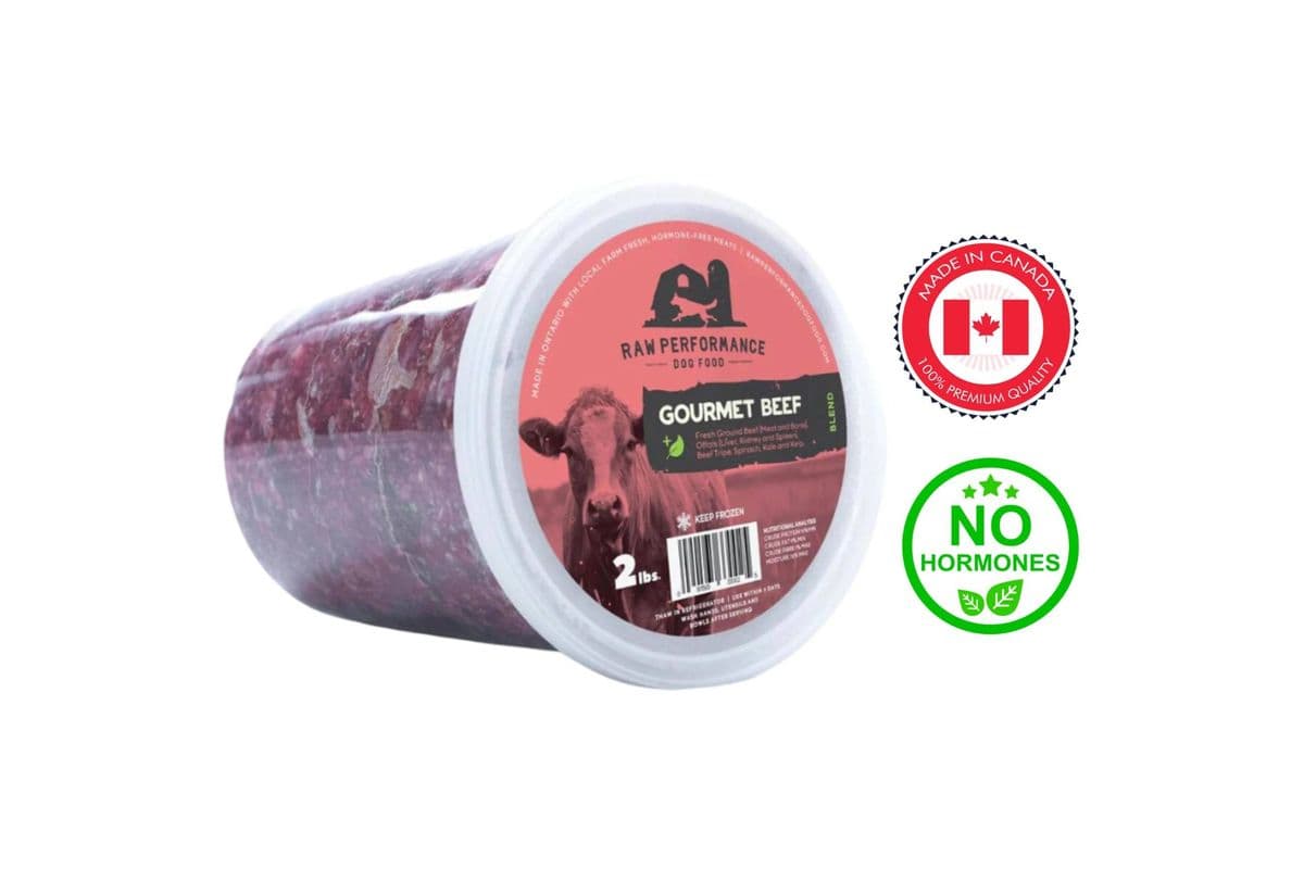 Raw Performance Gourmet Beef Raw Dog Food (2 lbs)