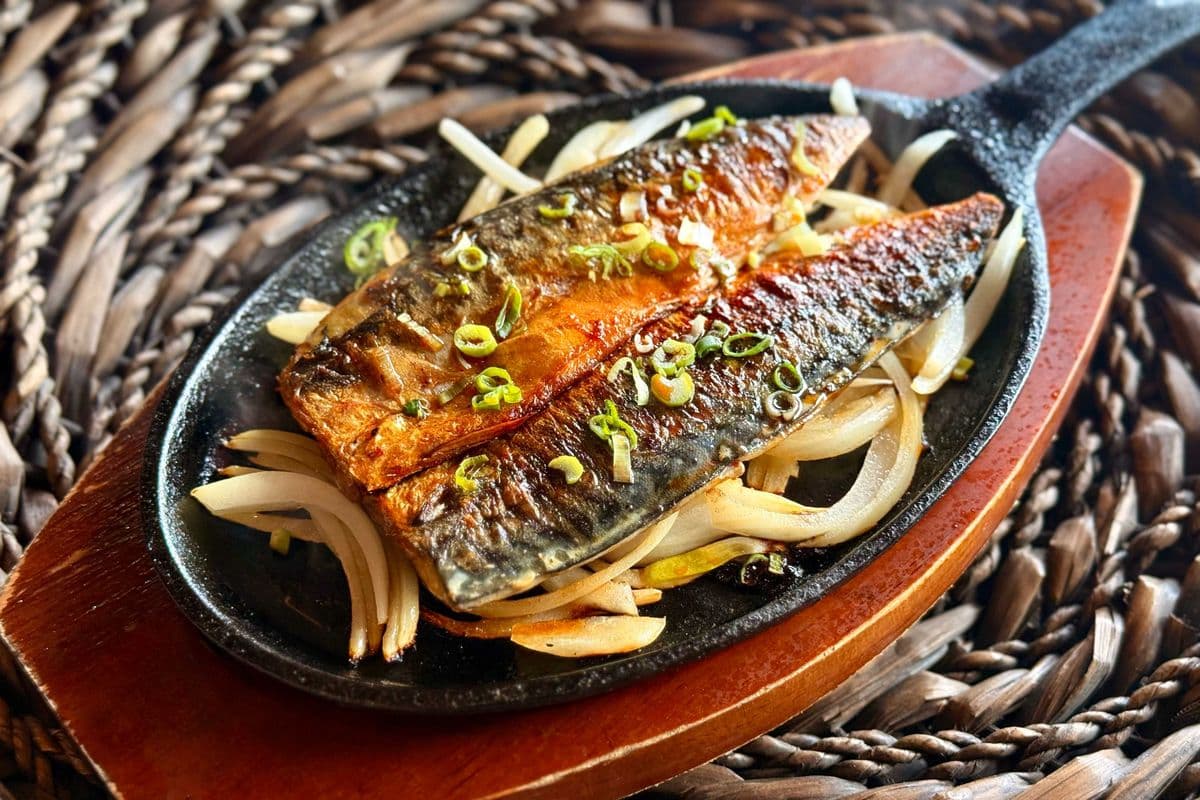 K12. Grilled Mackerel