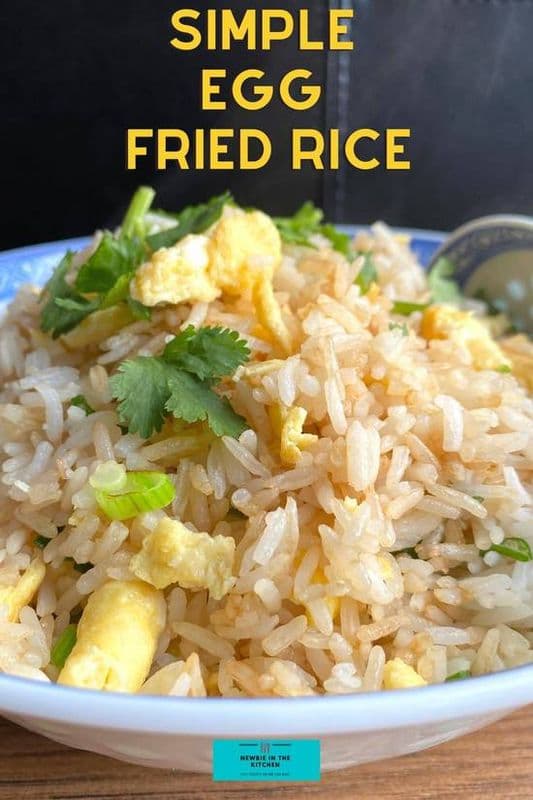 19A Riz Frit avec oeuf / Egg Fried Rice / 19A Riz Frit avec oeuf / Egg Fried Rice