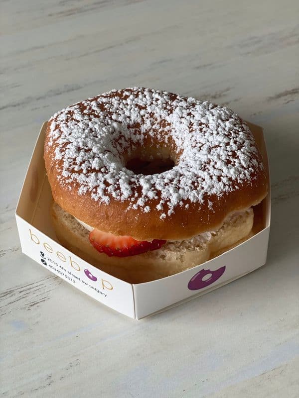 Solstice Doughnut