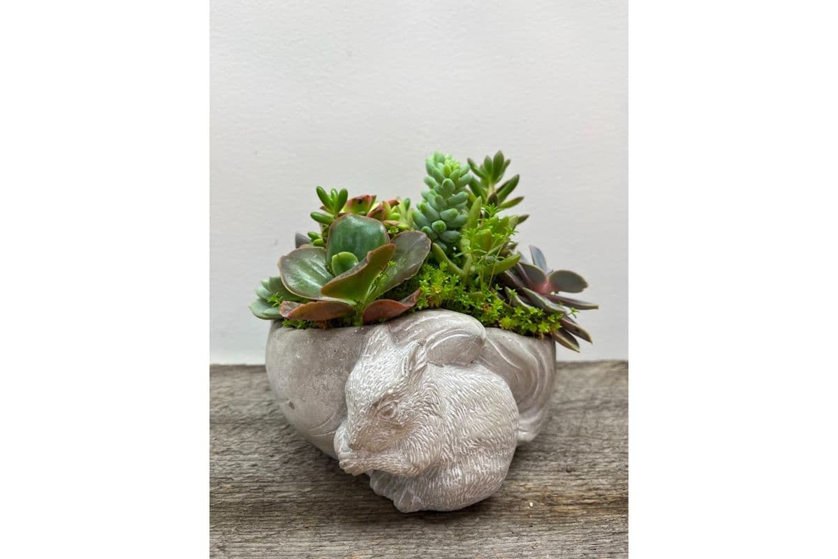 Squirrel Planter