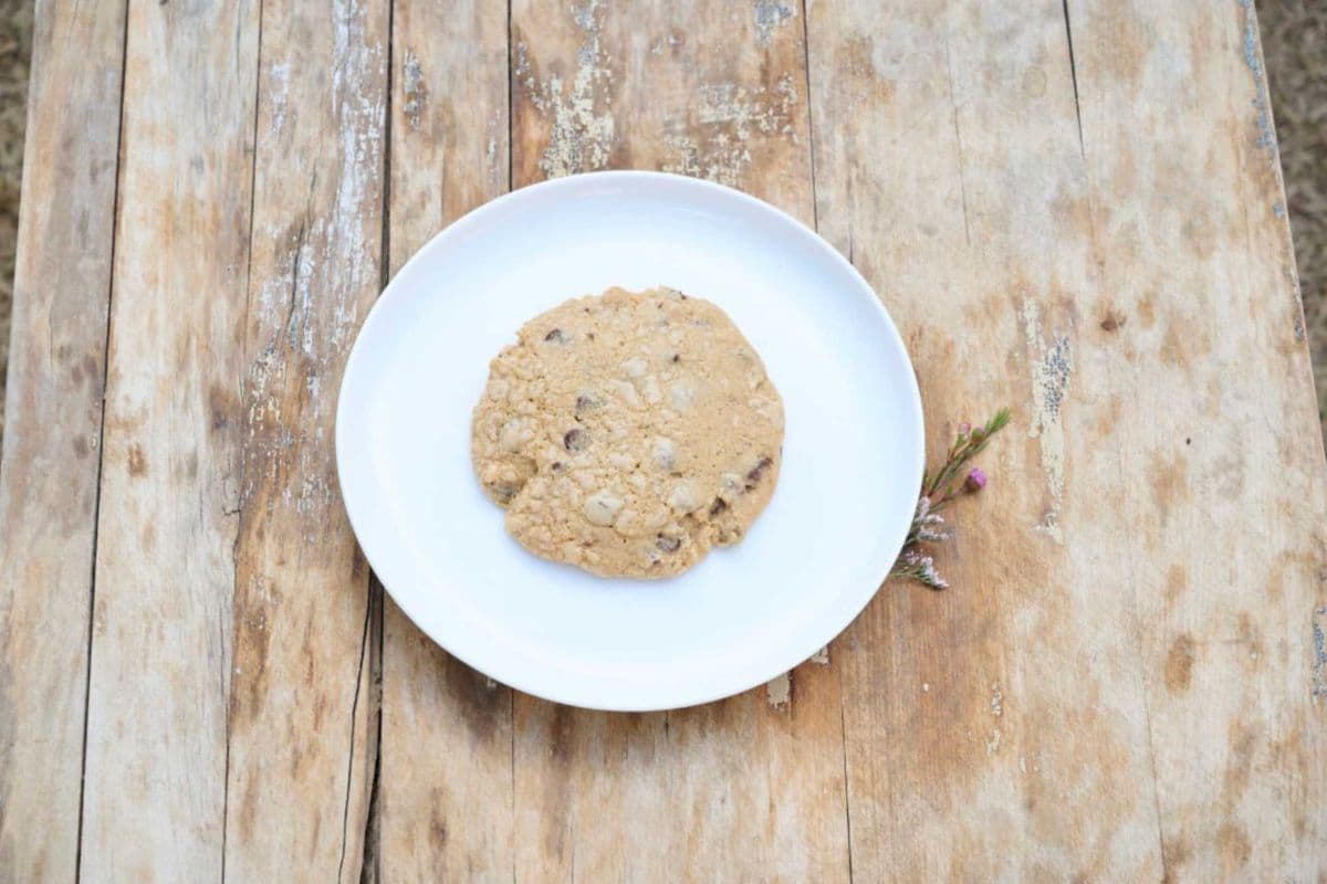 Chocolate Chip Cookie