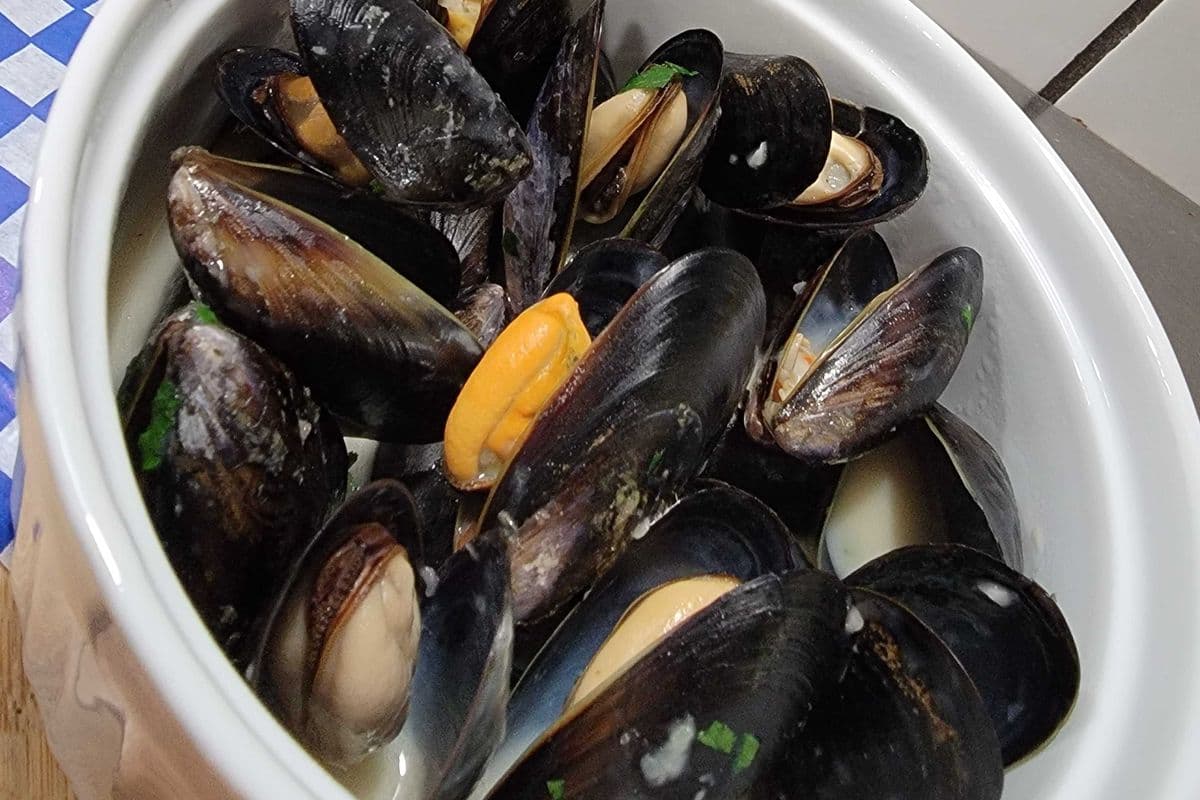Creamy Mussels and Fries
