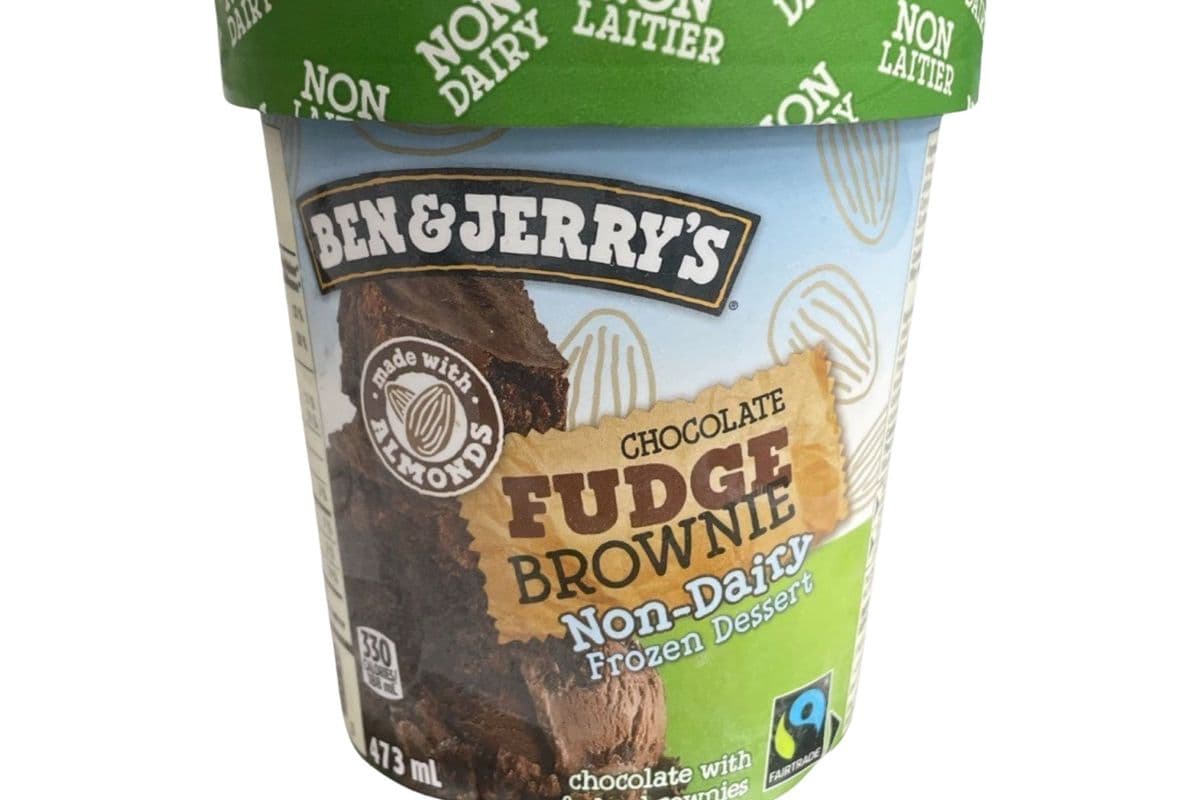Ben & Jerry's Non Dairy fudge brownie