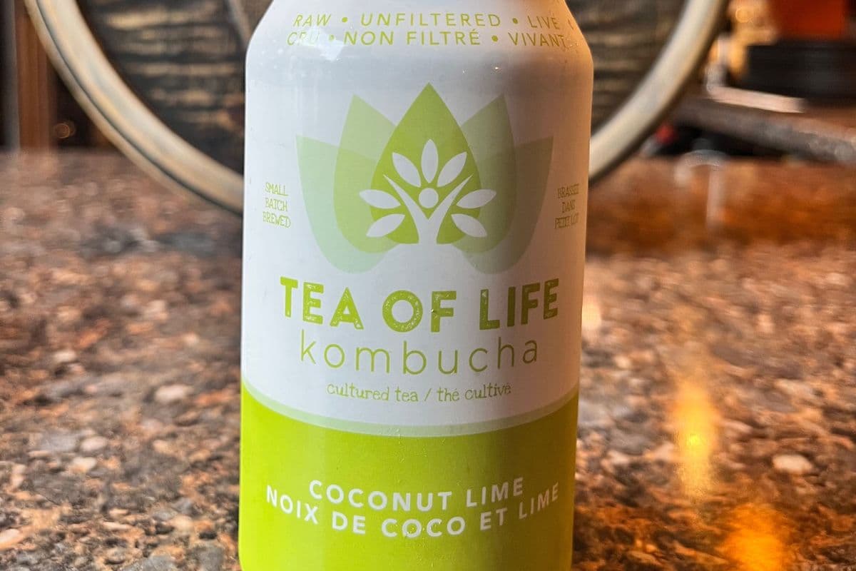 Coconut Lime Kombucha (355ml)