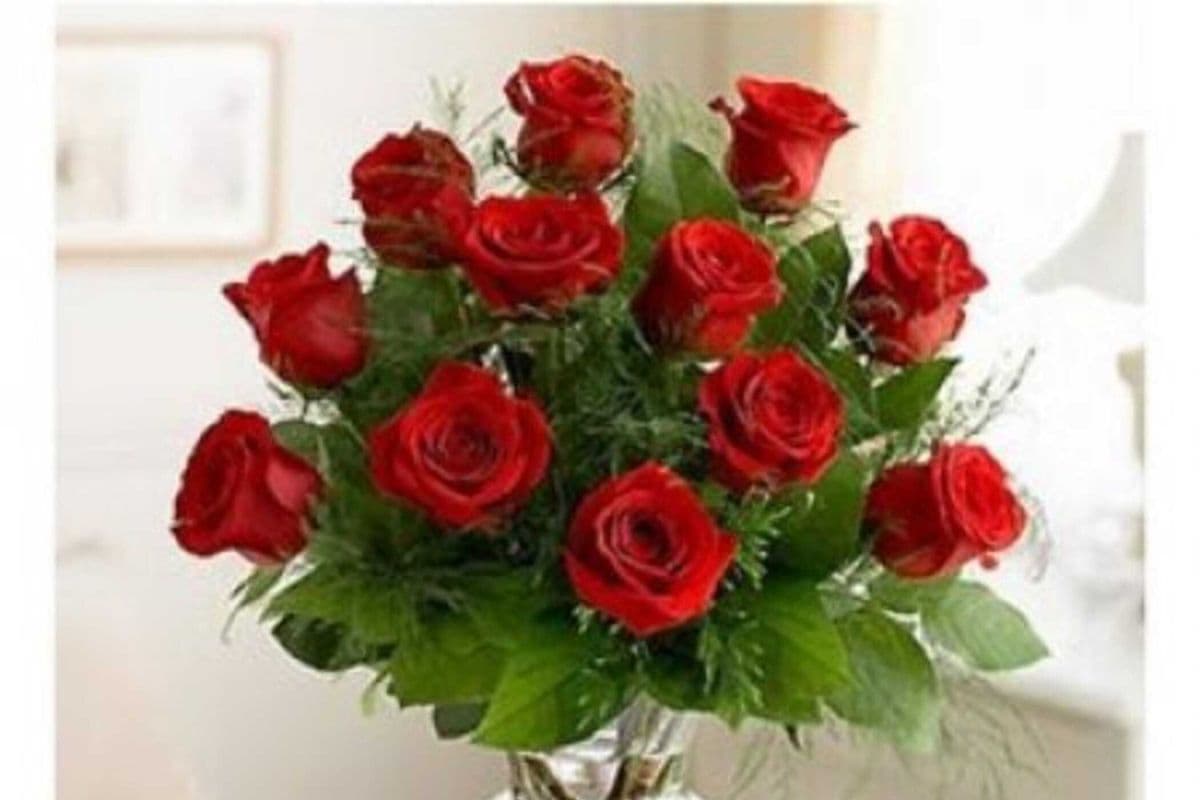 Twelve Roses Arranged