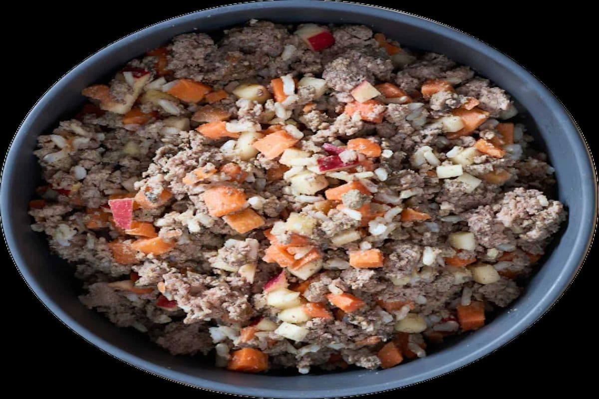 Joey's Raw Gently Steamed Beef Feast Dog Food (250g)
