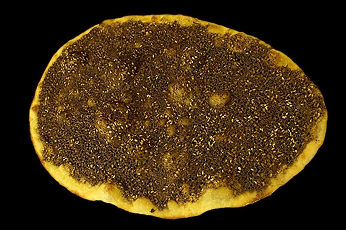 Thyme-Zatar Pie Mashrouha (on larger dough)