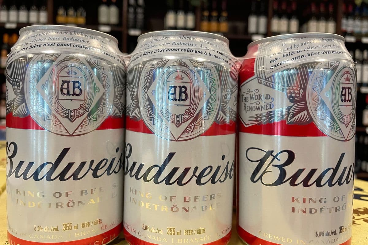 Budweiser 6 cans (6 x 355ml)