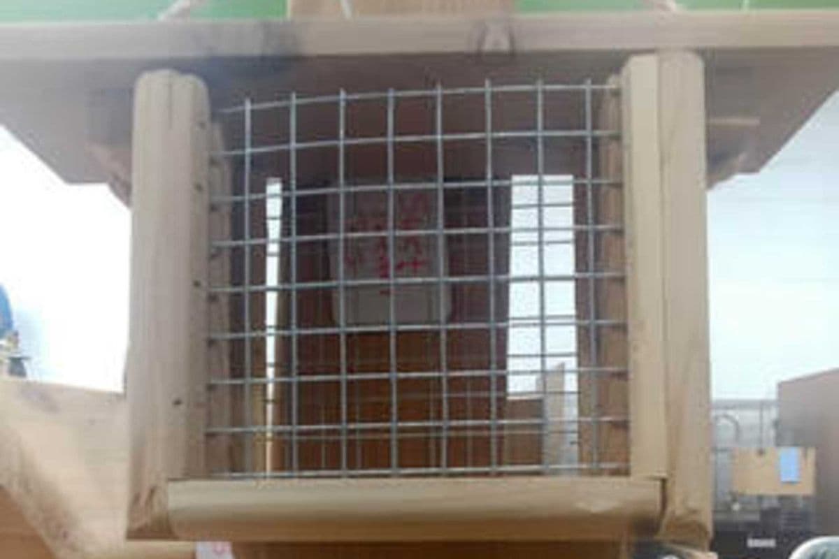 Suet and Single Suet Feeder (1.75 lb)