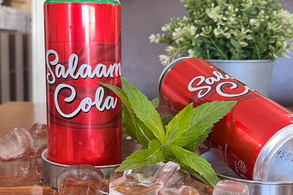 Salam Coke (330ml)