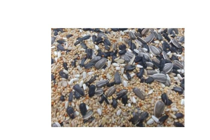 Baker's Cockatiel Seed (20 lb)