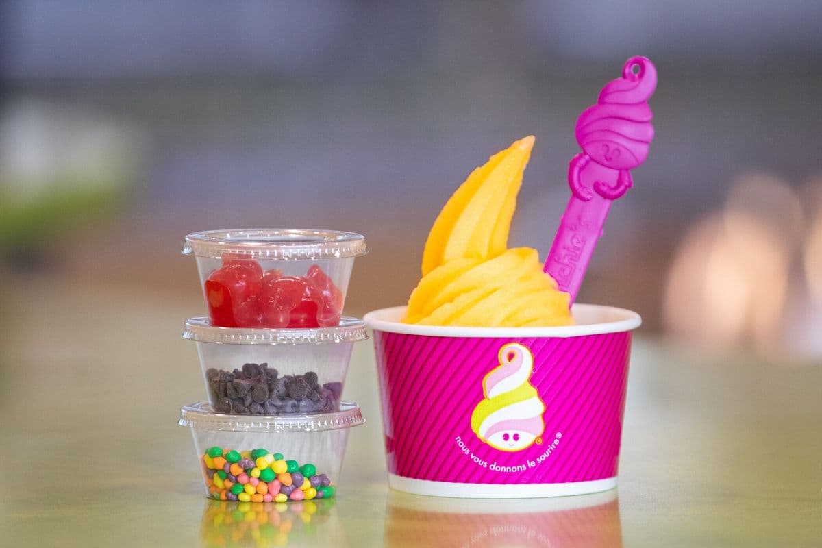Frozen Yogurt (Small)