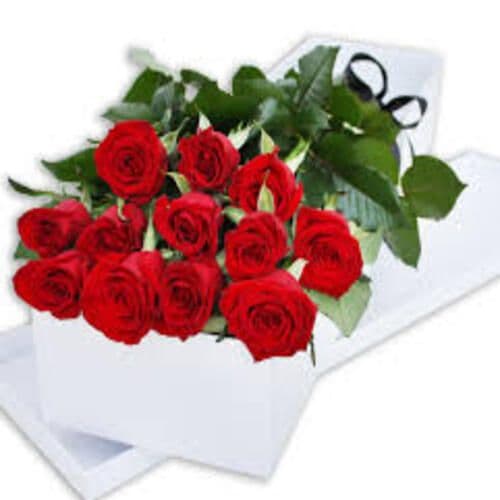 Une douzaine de roses rouges en boîte/ 1 Dozen Red Roses Boxed