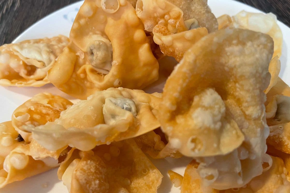 Deep Fried Wonton