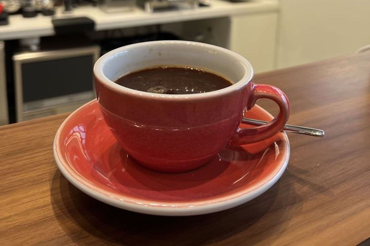 Americano (Hot)
