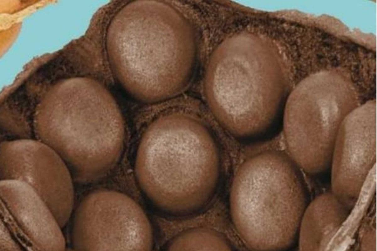 Chocolate Bubble Waffle (770 Cal)
