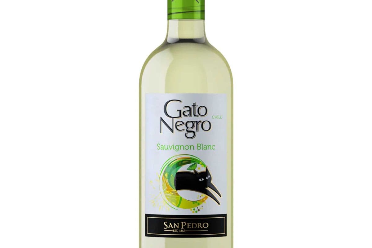 Gato Negro Sauvignon Blanc (1 x 750 ml)