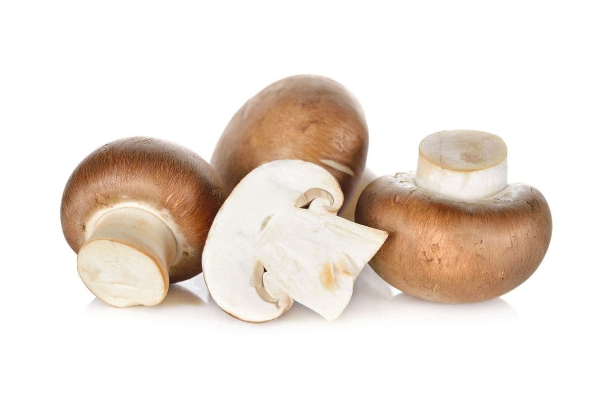 Mushrooms