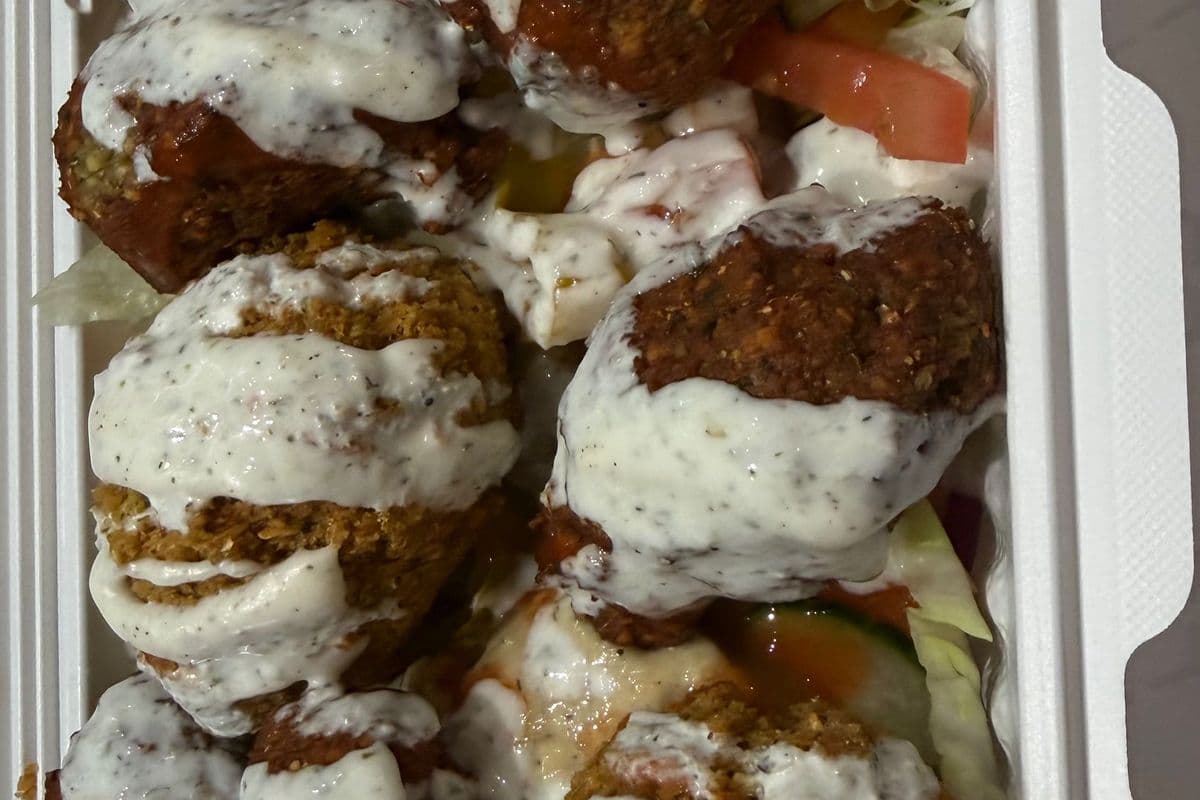 Falafel Plate