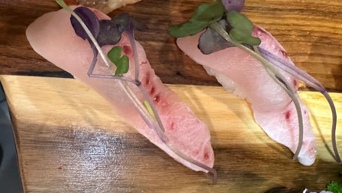 Mekatoro Nigiri