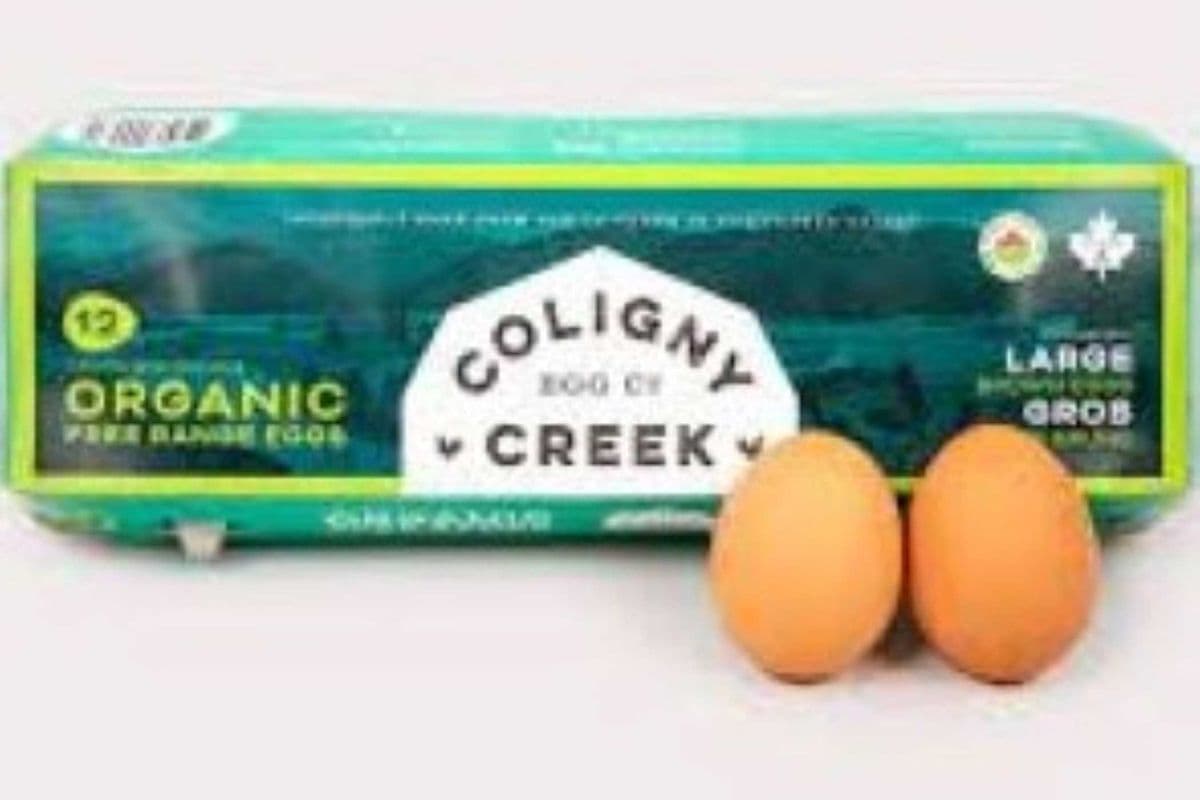 Eggs - Organic
