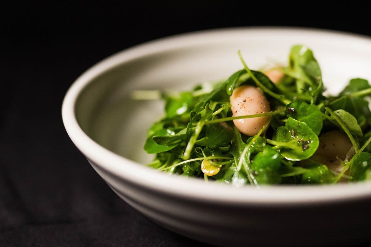Insalata Verde Salad