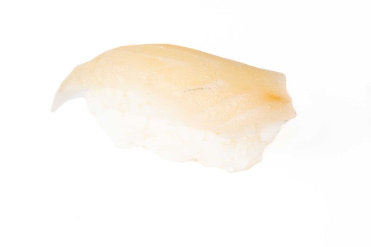 N. Tilapia