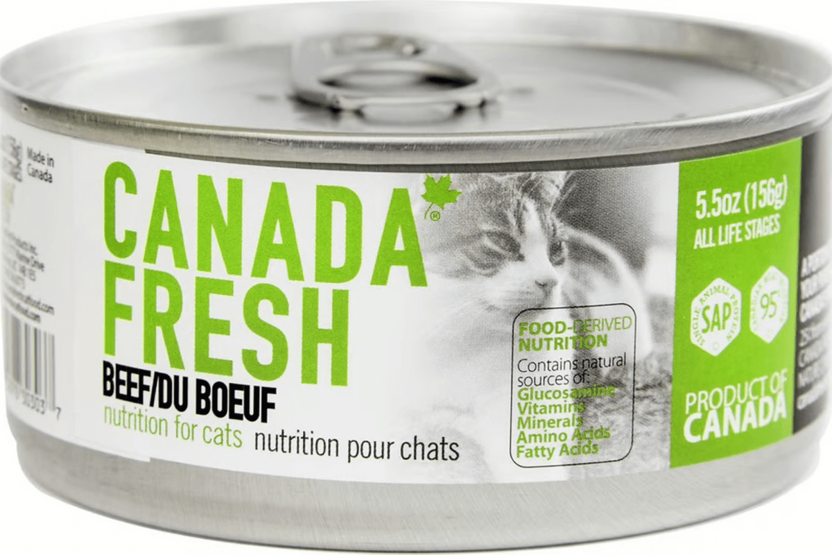 Canada Fresh Cat SAP Beef (156 g)