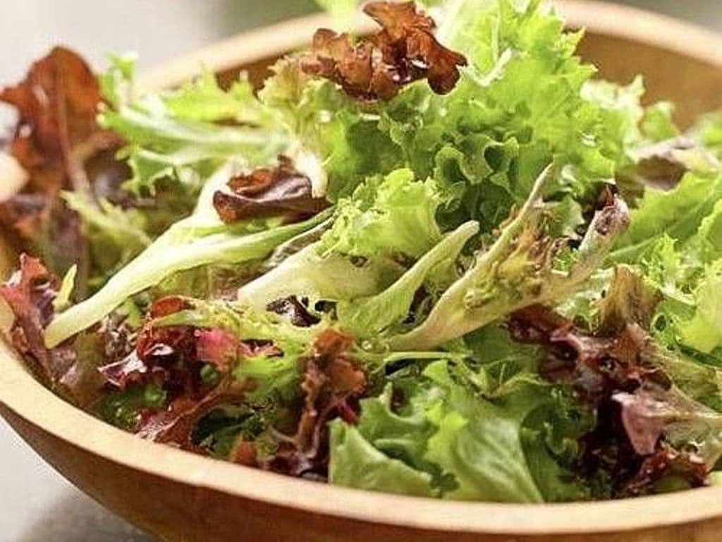 Garden Salad