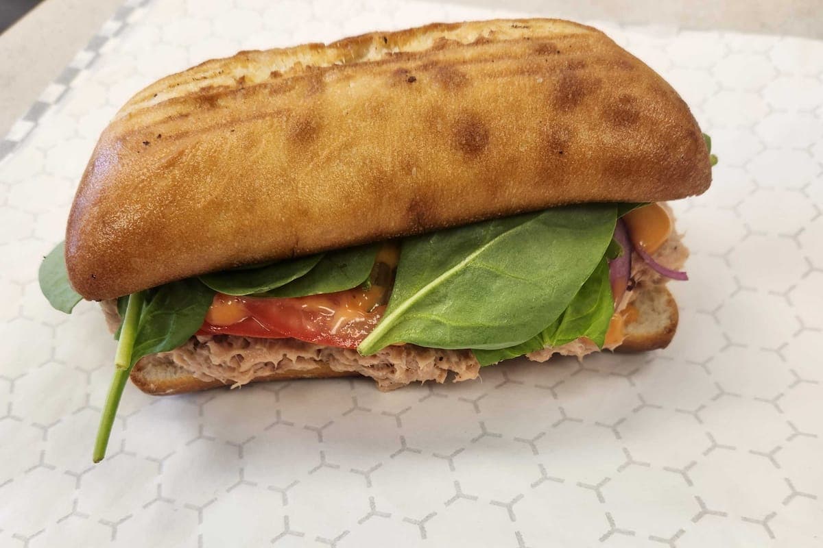 Tuna Panini