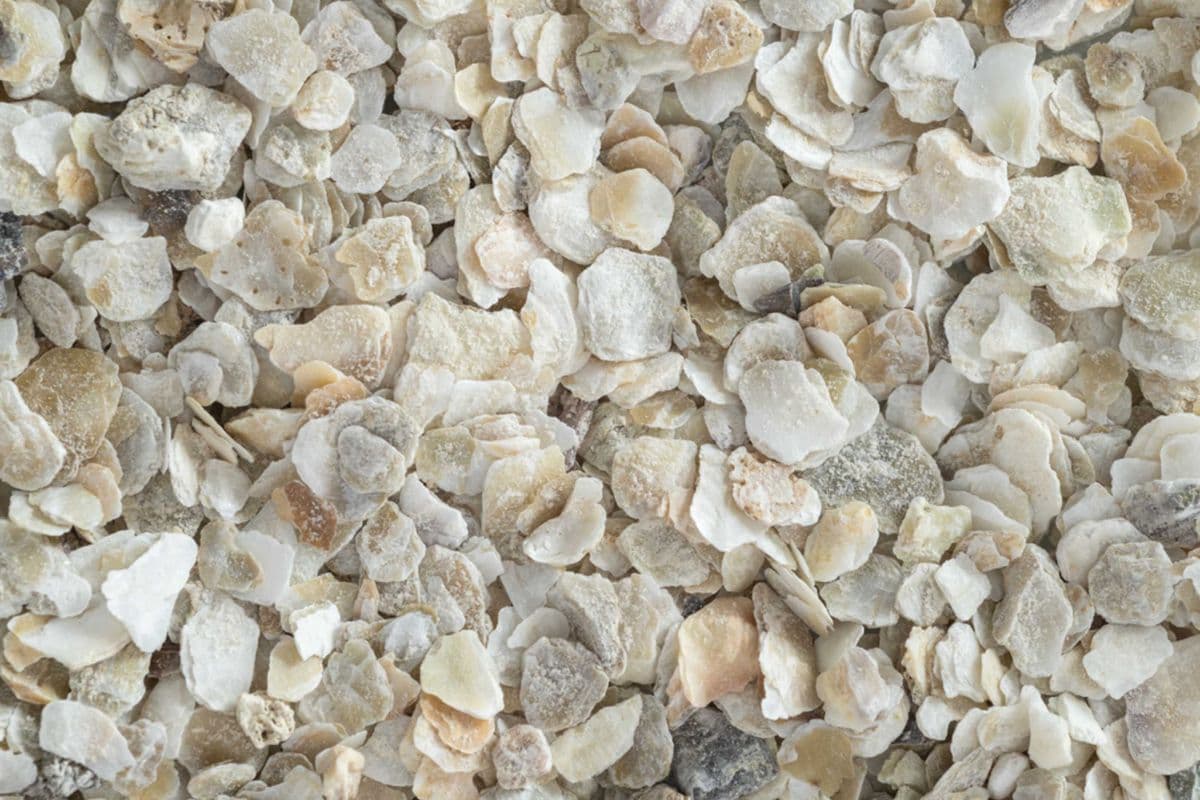 Oyster Shell Pigeon Grit (4 lb)