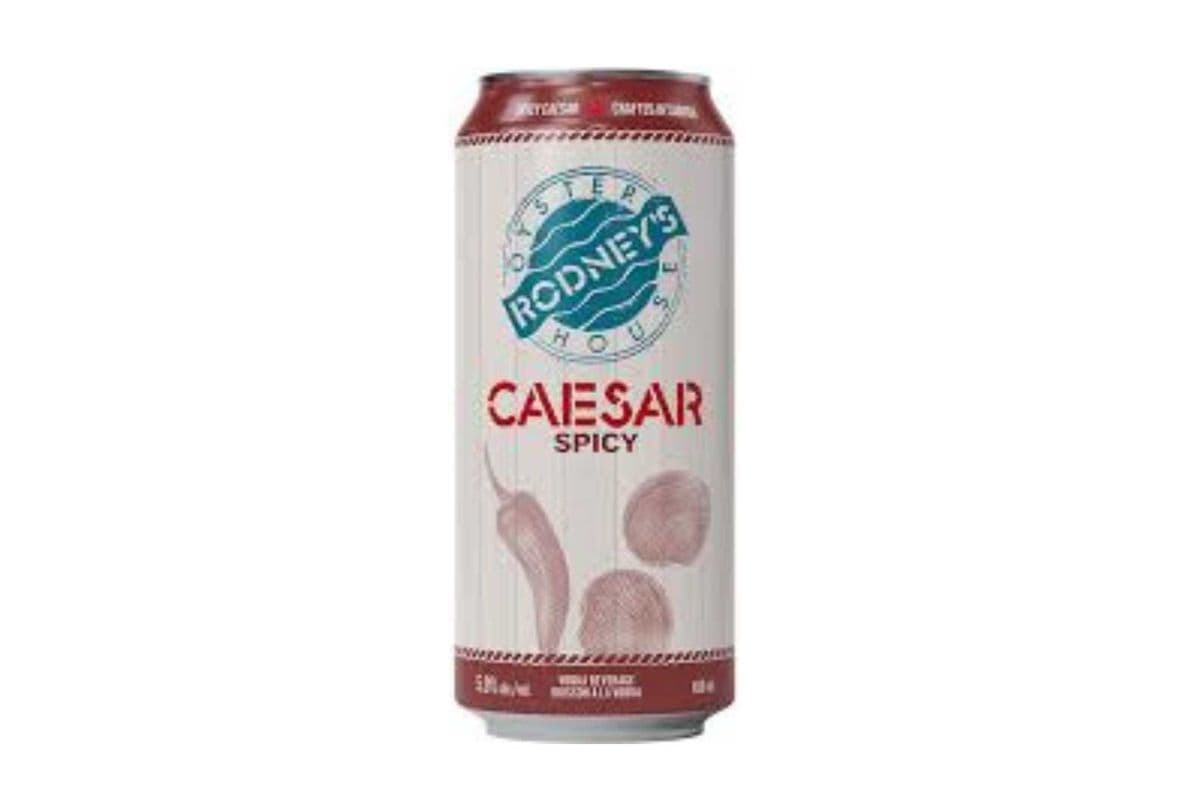 Rodney's Spicy Caesar Tall Can (1 x 458ml)