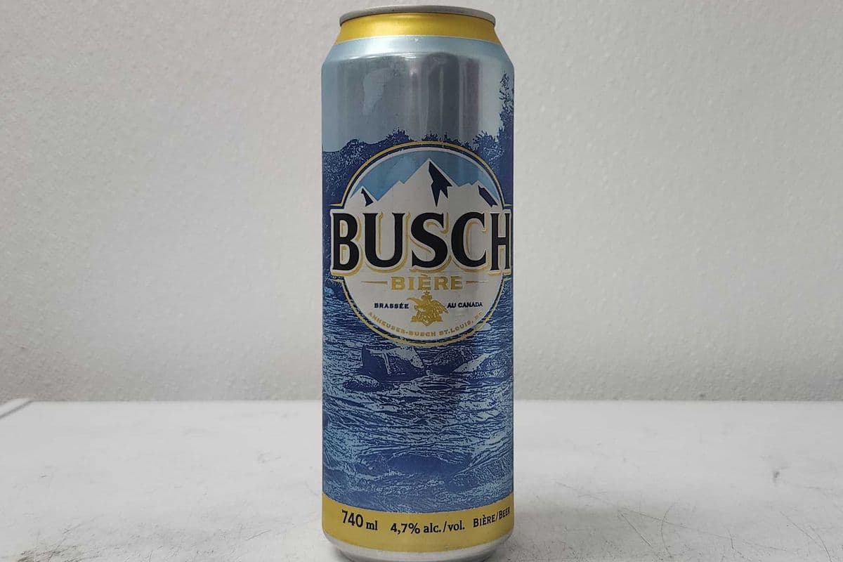 Busch (1 x 740 ml Tall Can)