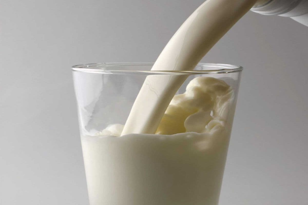 Large Milk