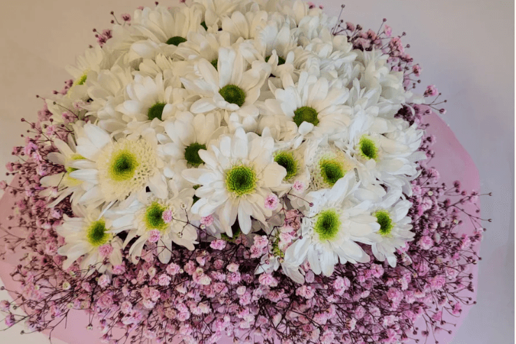 Pink Baby's Breath Bouquet