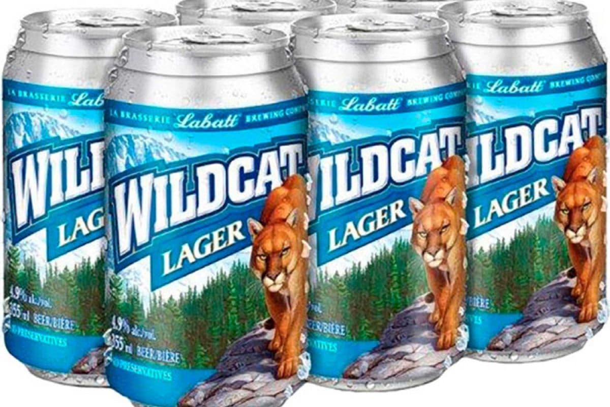 Wildcat Strong Beer 6Cans (1 x 6x355ml Cans)