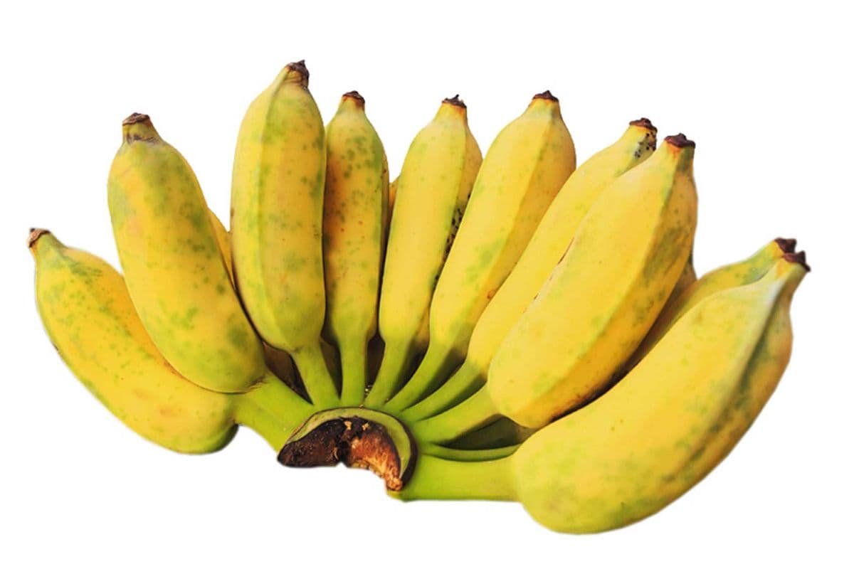 Banana Thai (per lb)