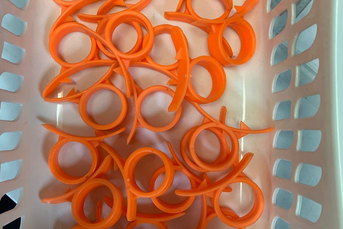 Orange peeler