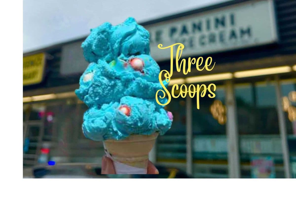 Triple (3 scoops)